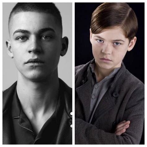 hero fiennes tiffin related to ralph fiennes|Harry Potter fans only just realising which actors are actually。